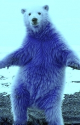 mavrdex
