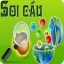 soicau