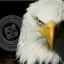 Sotos Aol