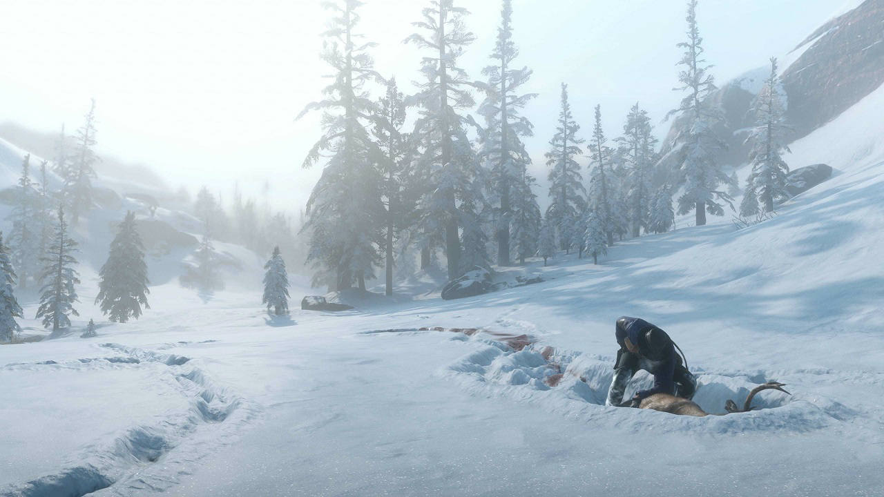 fishing red dead redemption 2 2