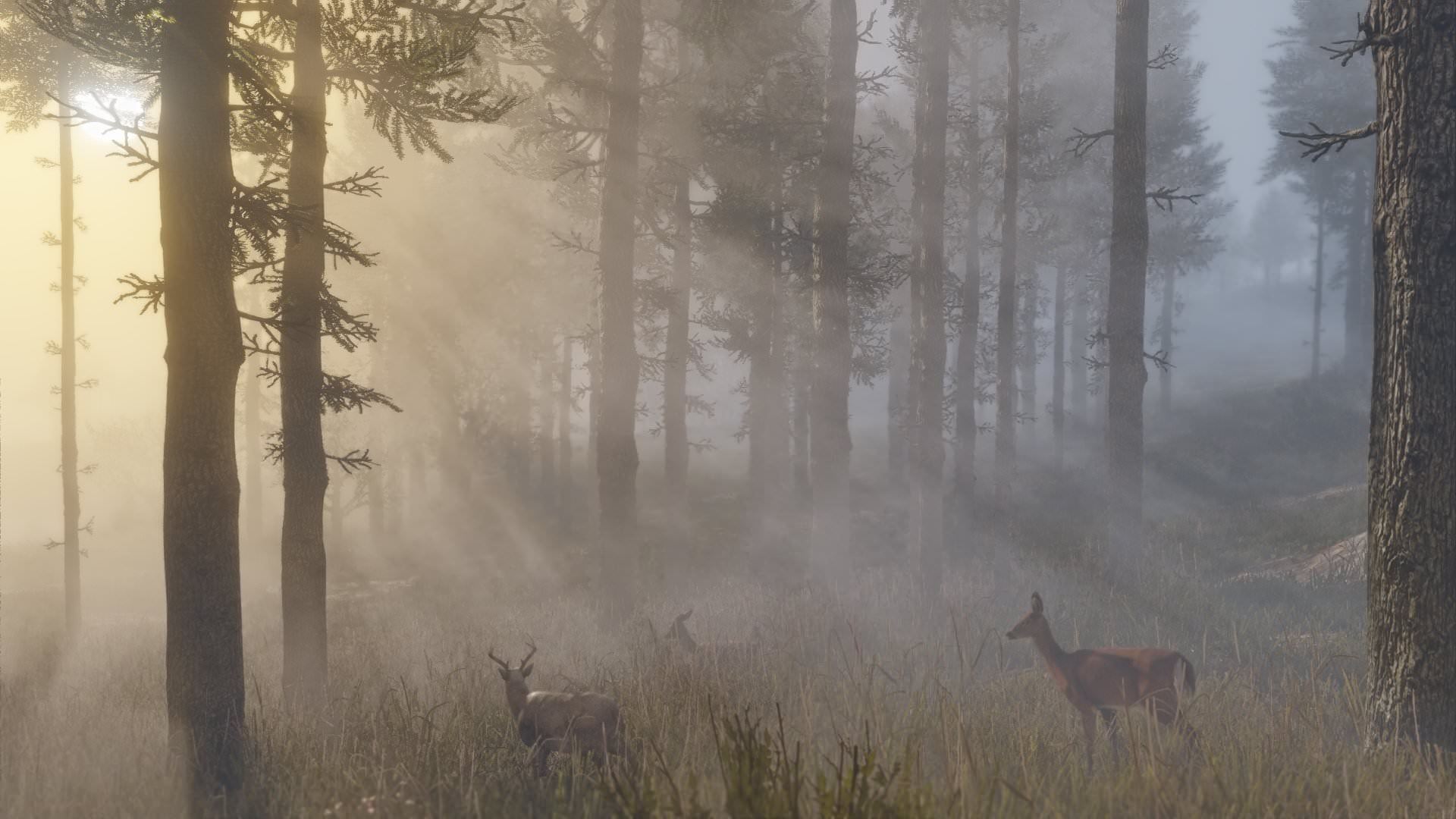 red dead redemption 2 screen 1