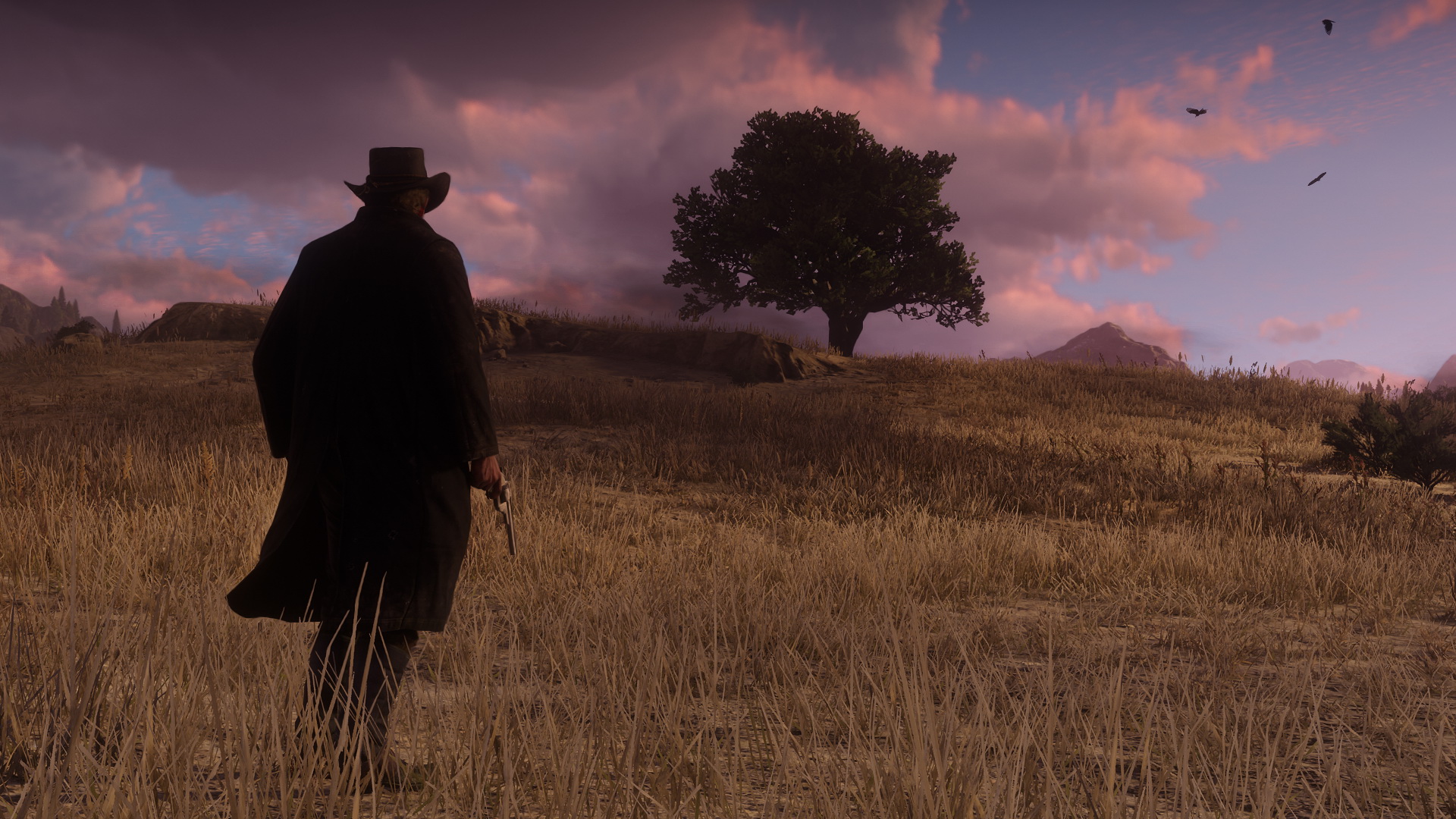 red dead redemption 2 screen 17