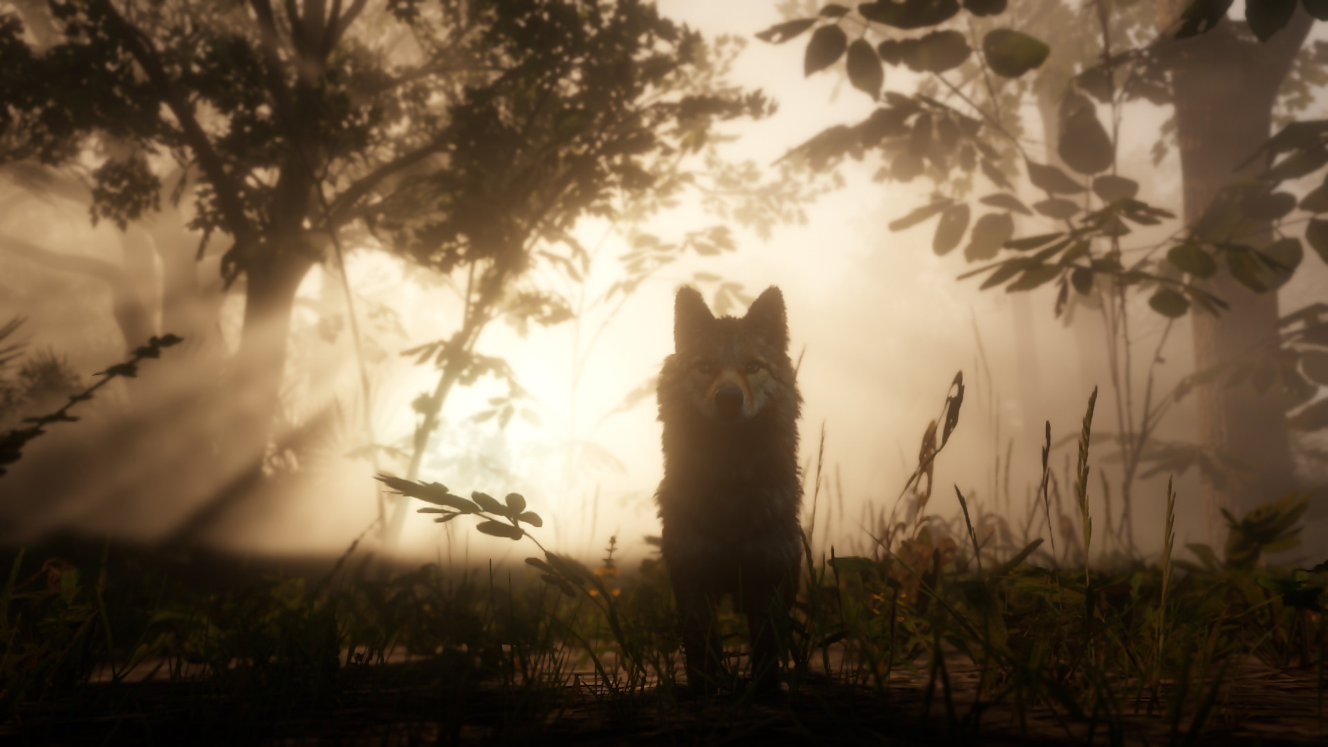 red dead redemption 2 screen 19