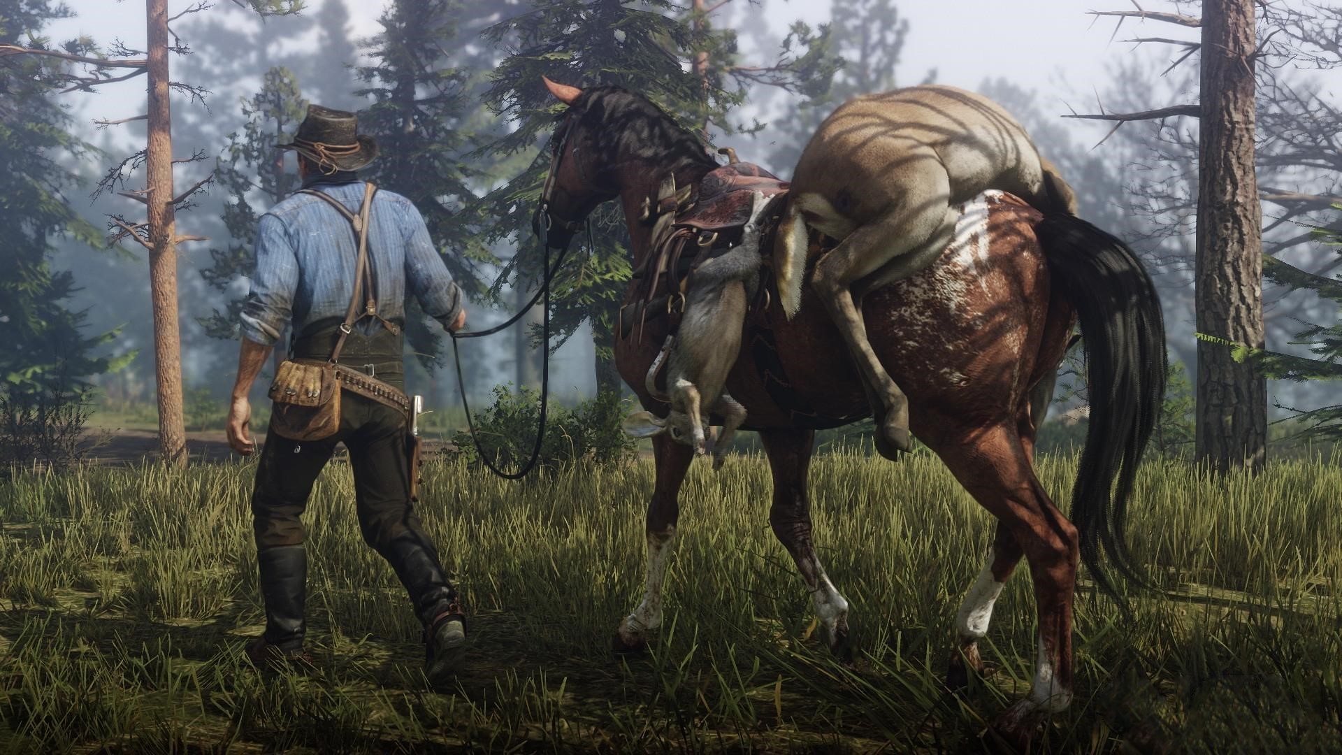 red dead redemption 2 screen 9