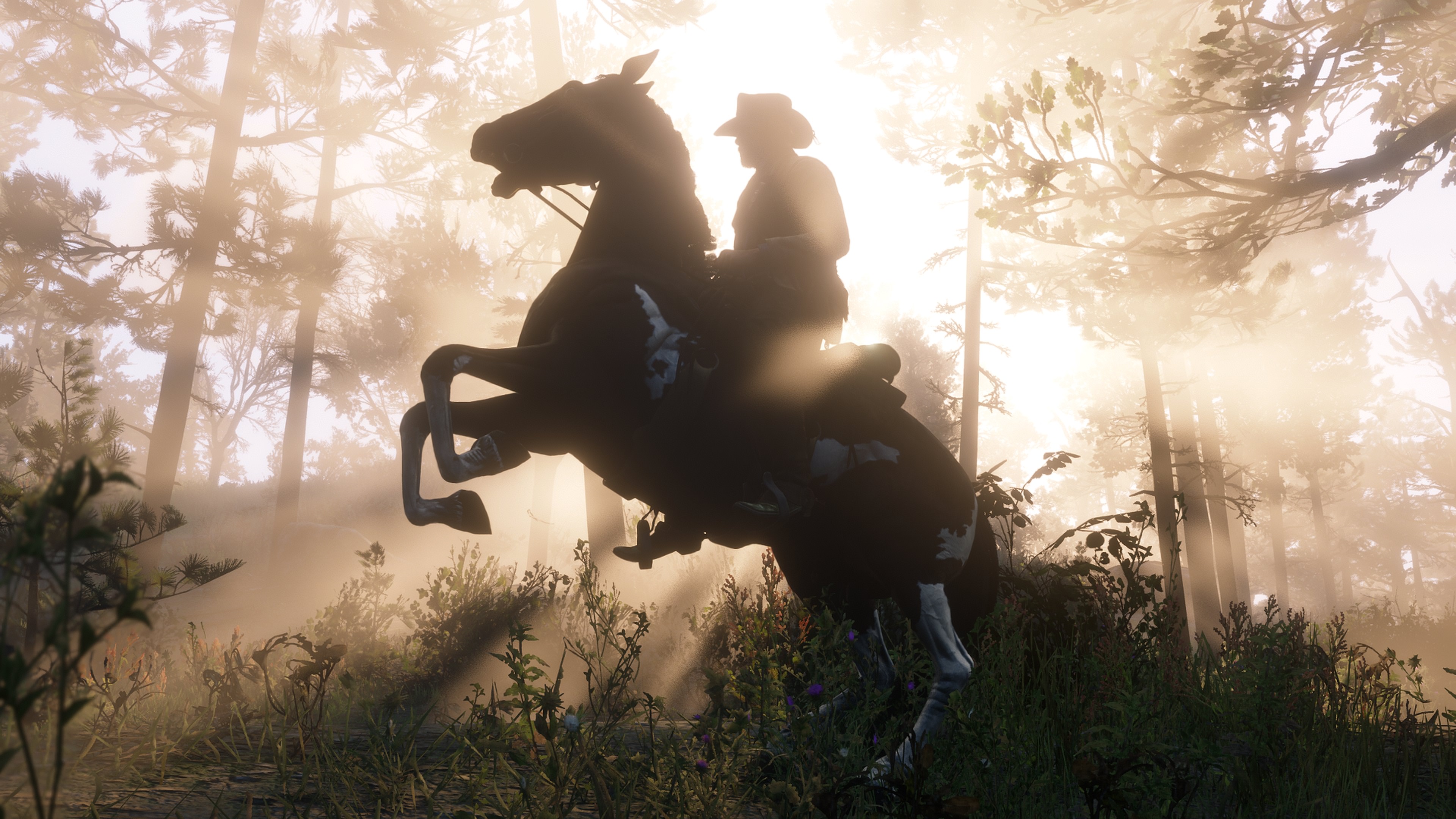 red dead redemption 2 september 1
