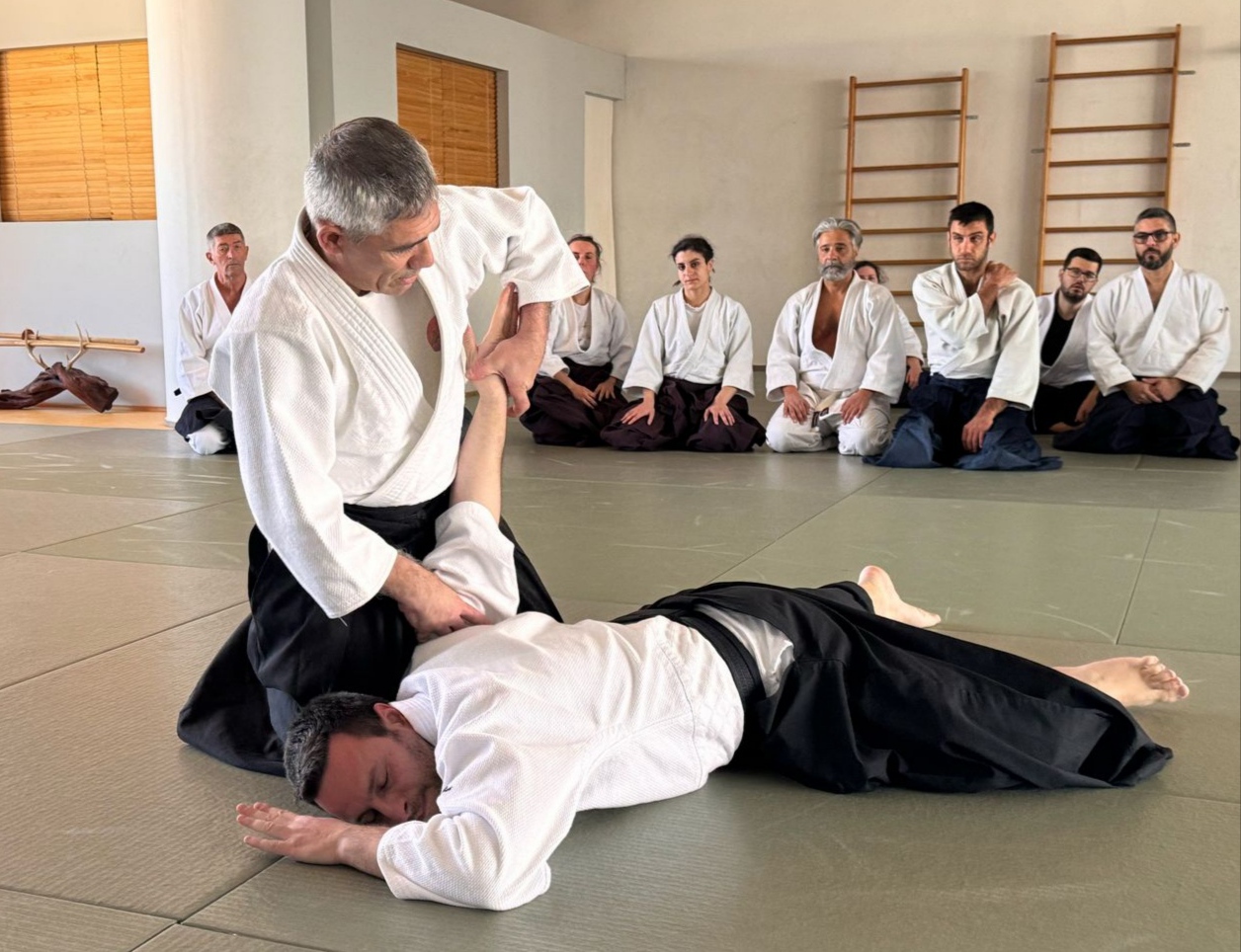 japan festival 2025 Hellenic Inochikan Aikikai with Sensei Koutelieris 2