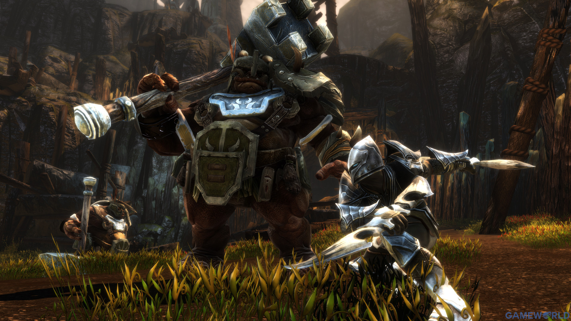 kingdoms of amalur re reckoning 3