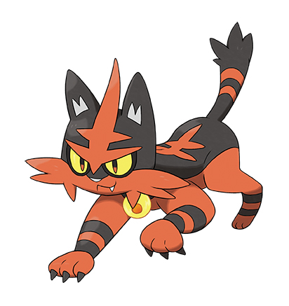 pkmn torracat