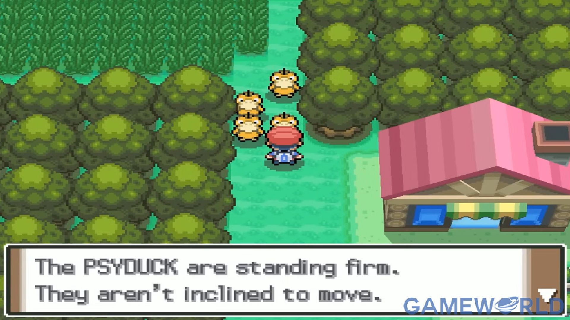 pokemon platinum version 8