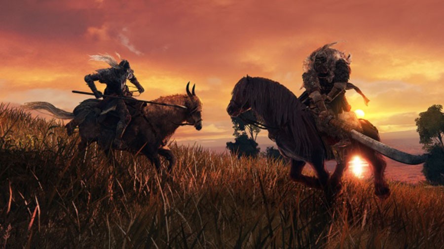 Το Elden Ring στο Steam