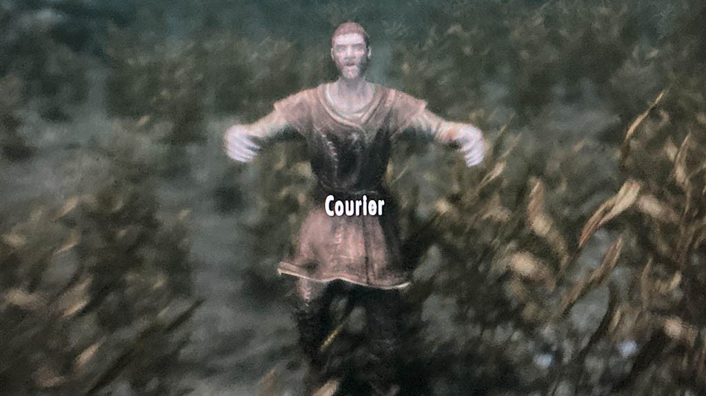 Παίκτης του Skyrim βρήκε ταχυδρόμο κάτω από το νερό