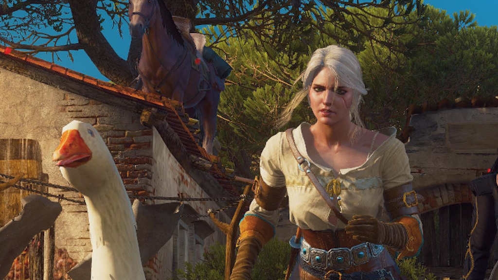 Το The Witcher 3 είχε ένα bug κατά την ανάπτυξη του όπου μία πάπια έμπαινε σε ένα μπαρ κλείνοντας την πόρτα μόνη της