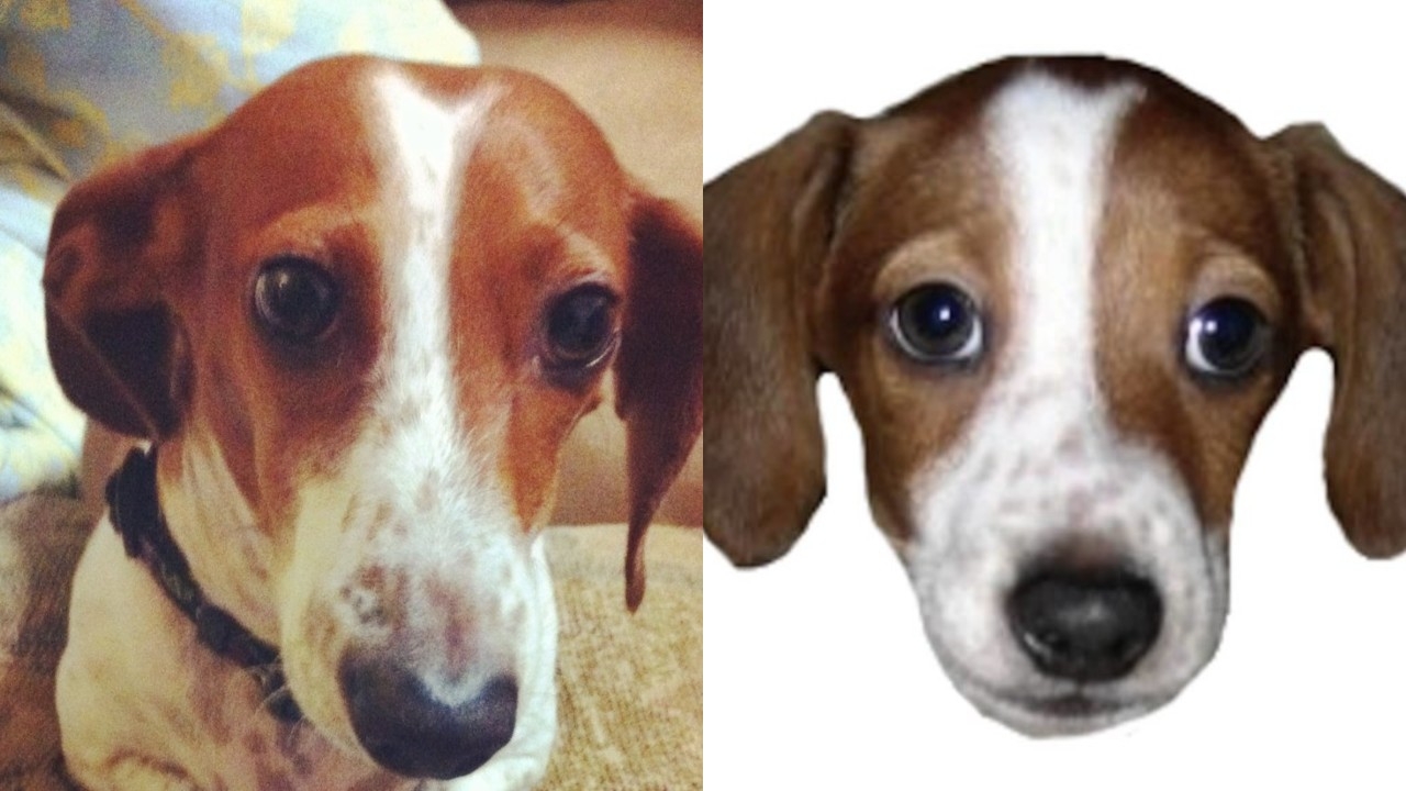 Πέθανε ο σκύλος-emote του Twitch