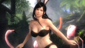 Dead or Alive 5+ για το PS Vita