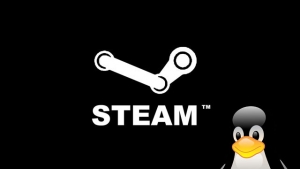 Steam Box από την Valve μέσα στο 2013