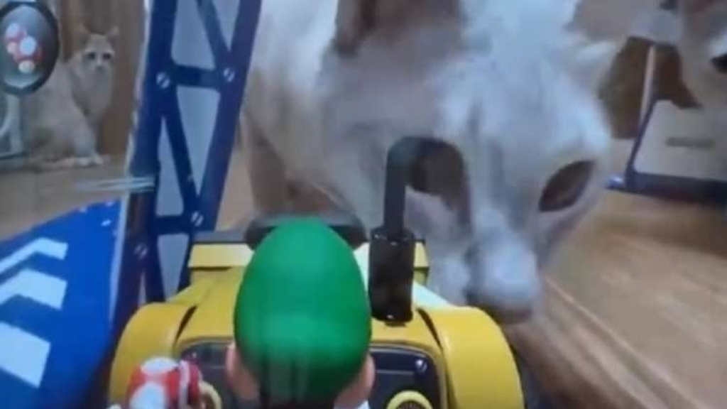 Mario Kart Live: Home Circuit: Οι γάτες των παικτών καταστρέφουν το setup τους Mario Kart Live: Home Circuit: Οι γάτες των παικτών καταστρέφουν το setup τους