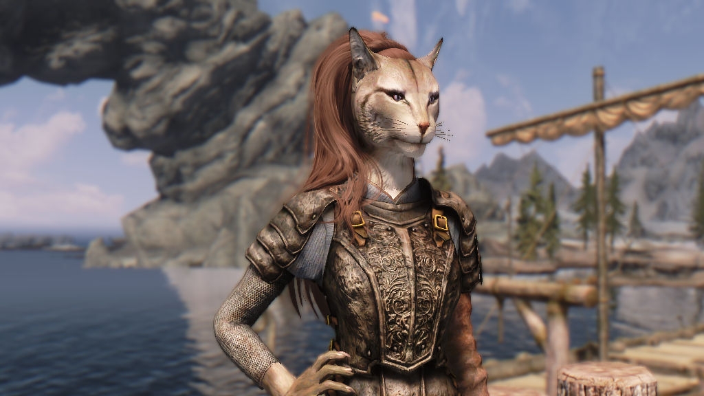 Mod στο Skyrim σας επιτρέπει να υιοθετήσετε γάτες