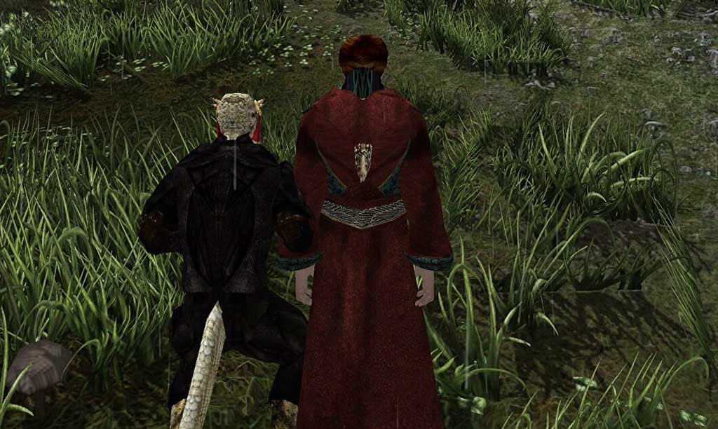 The Elder Scrolls 3: Morrowind multiplayer mod
