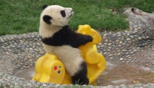 Πωλήσεις για το World of Warcraft: Mists of Pandaria