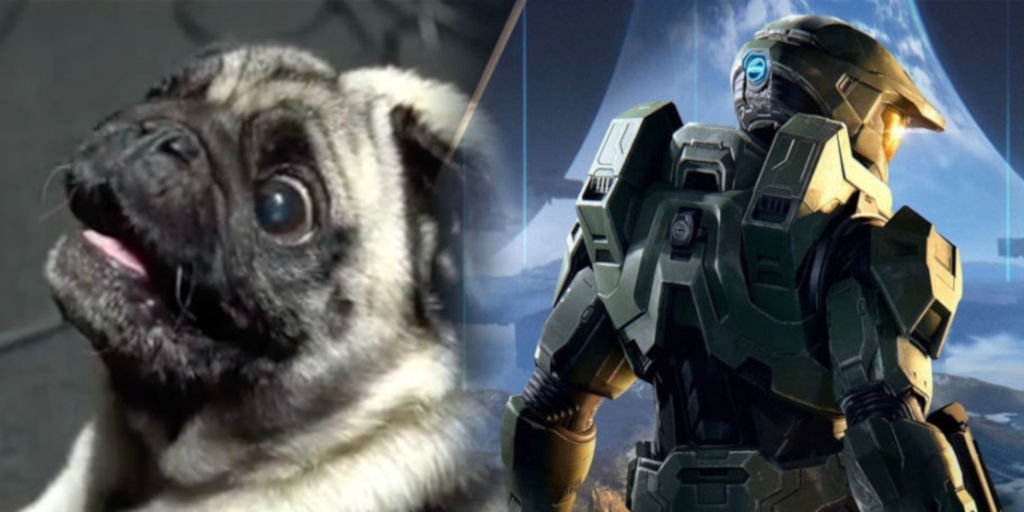 Η 343 Industries προσέλαβε pug για το Halo Infinite