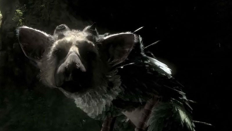 The Last Guardian: Ημερομηνία κυκλοφορίας The Last Guardian: Ημερομηνία κυκλοφορίας
