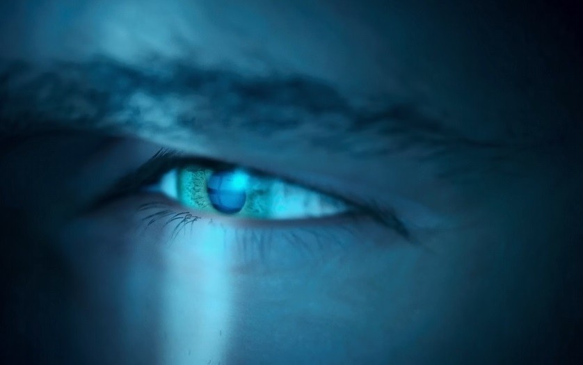 Blade Runner 2033: Labyrinth