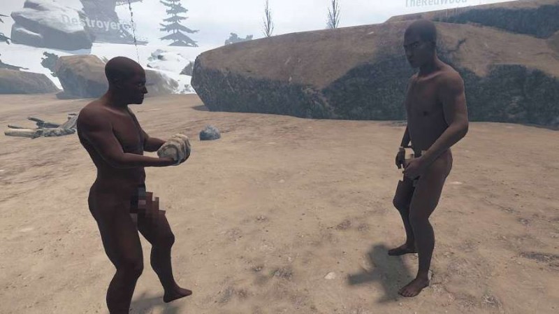 Rust preview Rust preview
