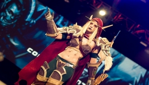 BlizzCon 2013