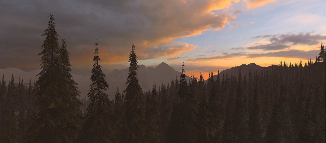 Seed of the Arcane Seed of the Arcane