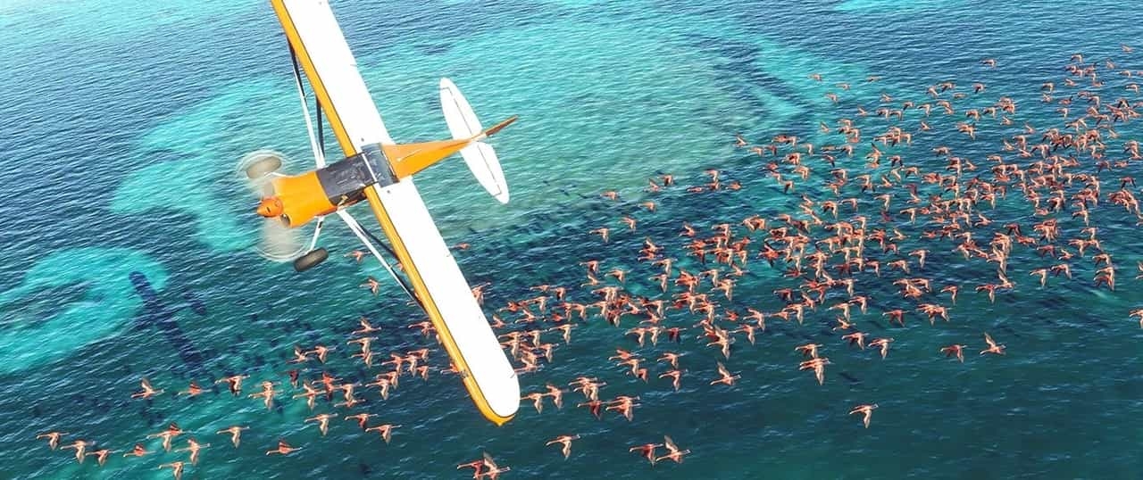 Microsoft Flight Simulator alpha