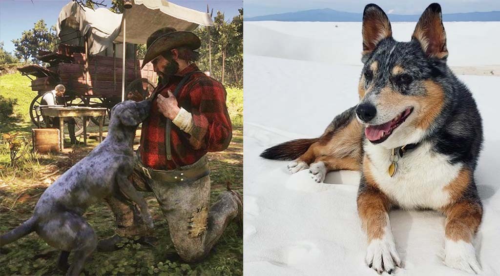 Έφυγε από την ζωή ο Einstein, σκύλος που υποδήθηκε τον Cain στο Red Dead Redemption 2 Έφυγε από την ζωή ο Einstein, σκύλος που υποδήθηκε τον Cain στο Red Dead Redemption 2