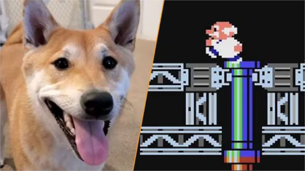 Σκύλος Shiba Inu έκανε...speedrun του Gyromyte στο Awesome Games Done Quick 2024