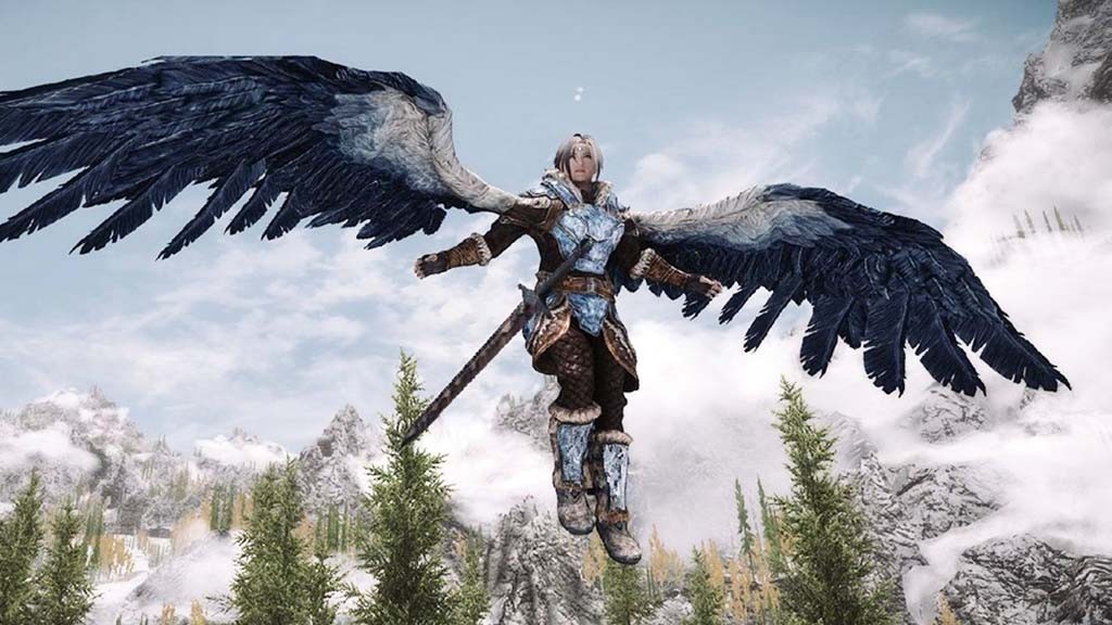 Ένα μπολ στο Skyrim σας επιτρέπει...να πετάξετε