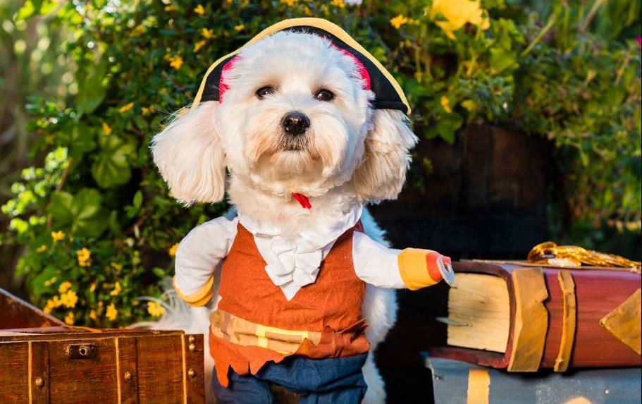 Rare: Ημερολόγιο 2019 με τα χαριτωμένα σκυλάκια των developers