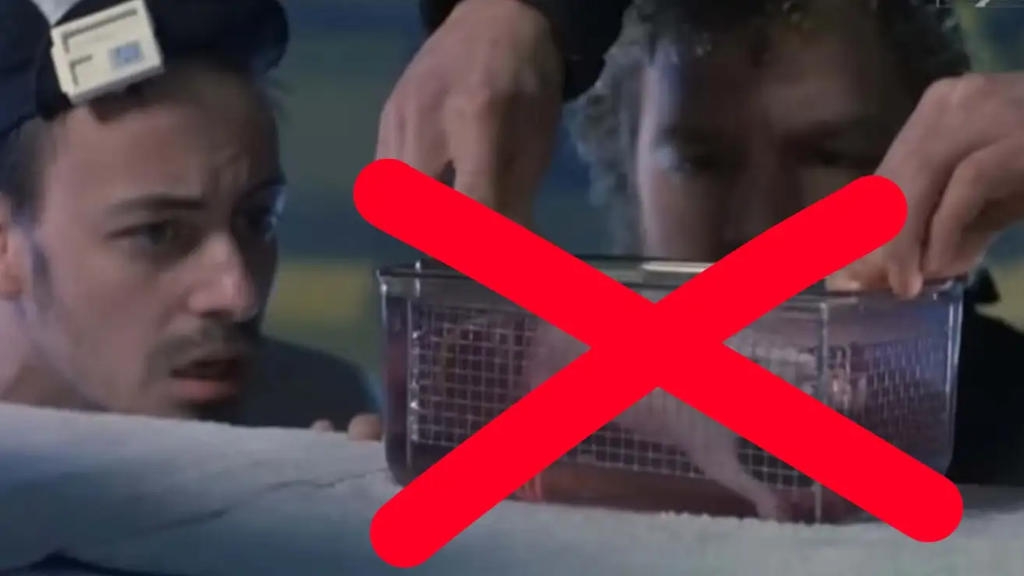 Το Disney+ αφαίρεσε ταινία του 1989 επειδή ένας αρουραίος πνίγηκε