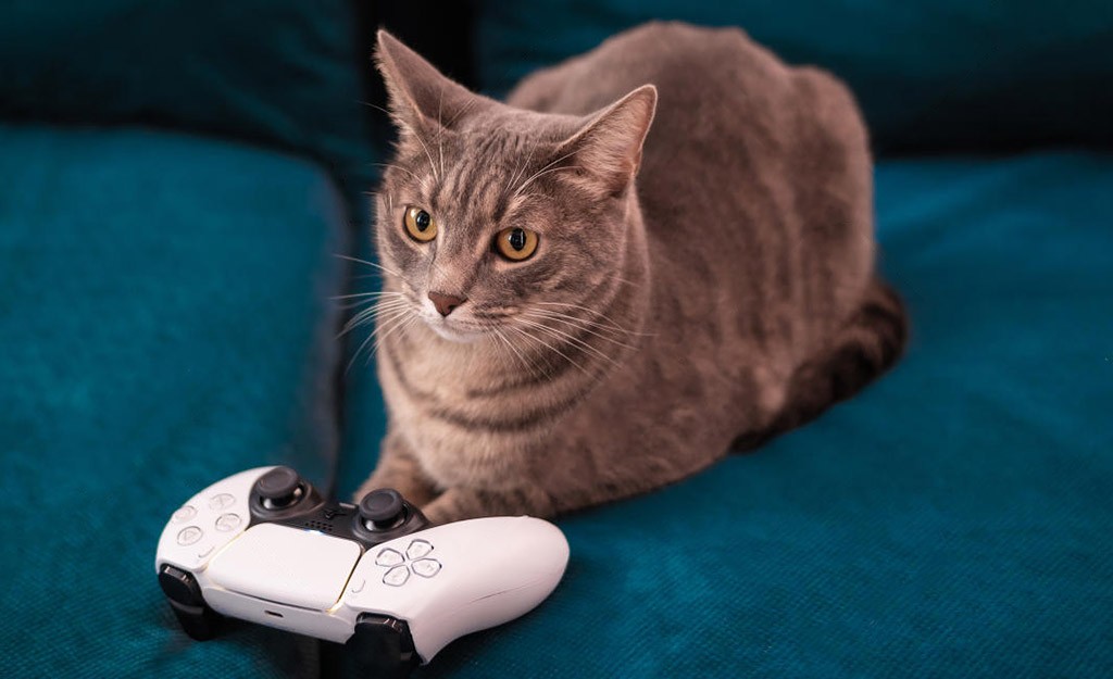 Έλληνας gamer έπαιξε 5776 ώρες σε μία χρονιά, πάνω από τις μισές ώρες του έτους!