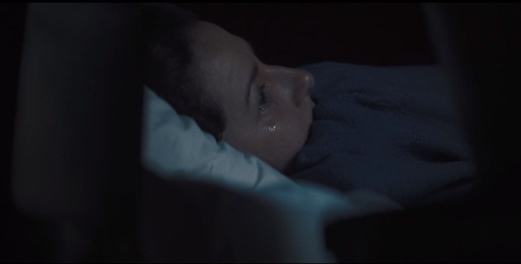 Ταινία The Long Dark