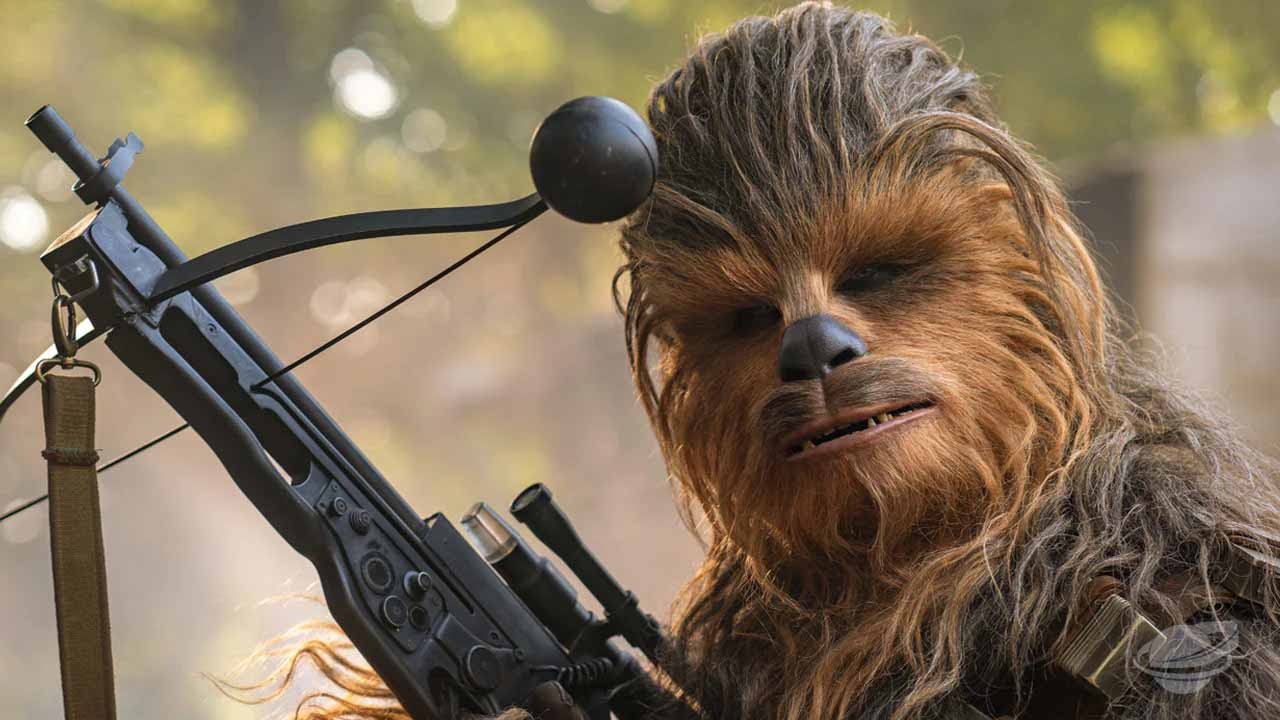 Ζευγάρι πουλούσε σε δημοπρασία συλλεκτικά της αρχικής ταινίας Star Wars απ' τον Peter Mayhew