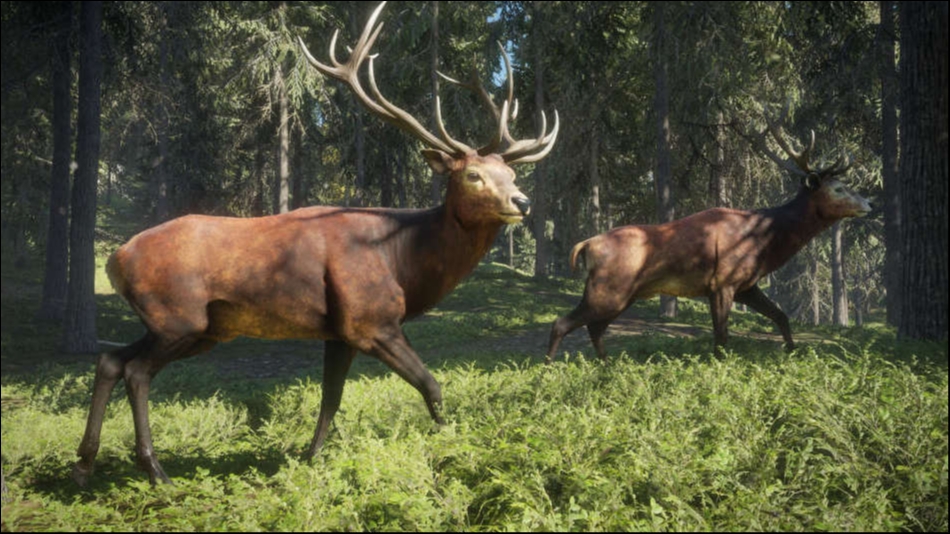 theHunter: Call of the Wild