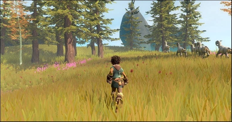 Pine