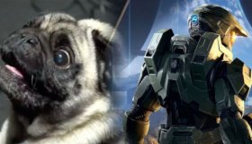 Η 343 Industries προσέλαβε pug για το Halo Infinite