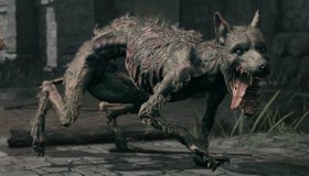 starved-dog-elden-ring