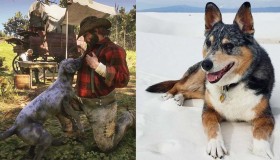 cain-einstein-dog-red-dead-redemption-2