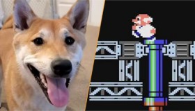 dog-gyromite-speedrun