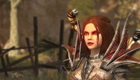 Divinity: Original Sin: Καθυστέρηση κυκλοφορίας