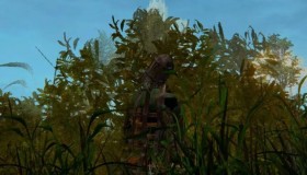 elden-ring-rune-farmer-bush