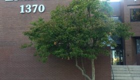 Η Zenimax, ιδιοκτήτρια της Bethesda, κατοχύρωσε την ονομασία Hi-Fi Rush