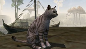 morrowind-stripes-the-cat-mod