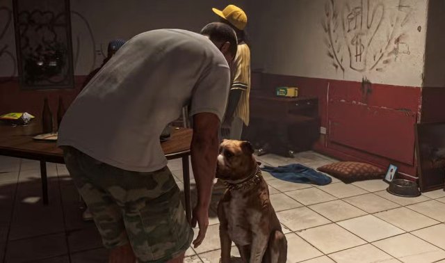 gta-6-dog