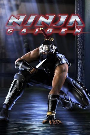 ninja-gaiden-box